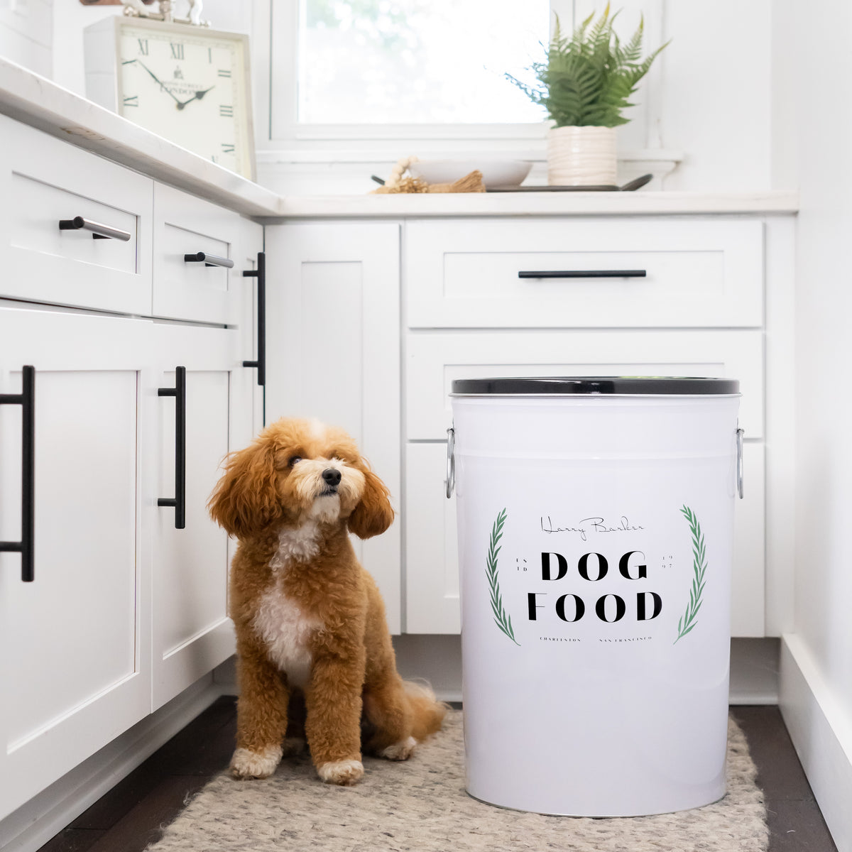 Laurel Dog Food Storage